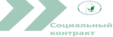 Социальный контракт